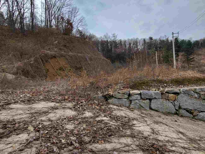 제시 목록 5 부동산(일부 도로 포함)