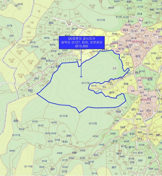 표준지A 상세위치도