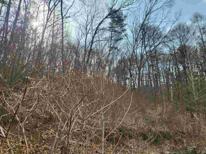 제시 목록 1 부동산