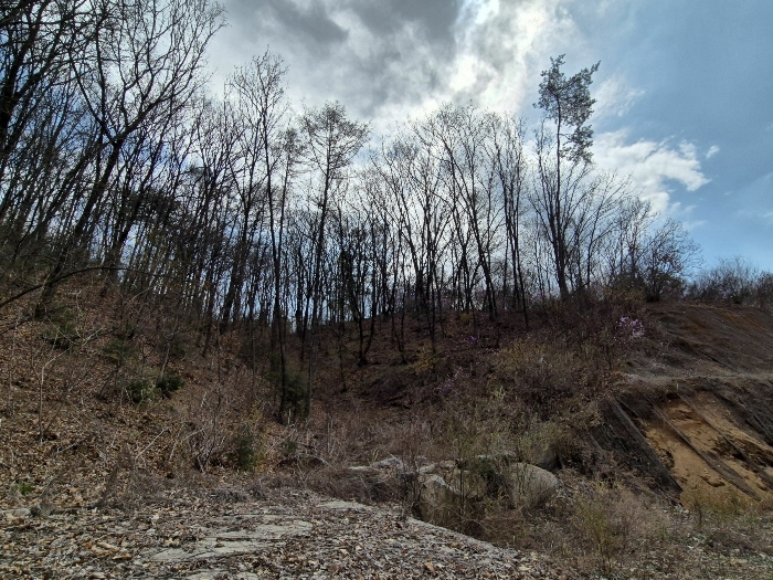 기호(1)토지 전경