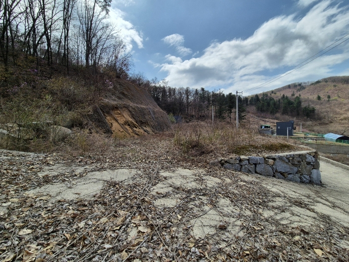 기호(5) 토지 전경