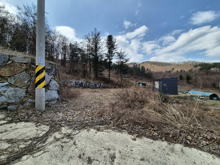 기호(4) 토지 남측 전경