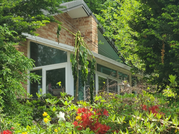 기호2 건물(1층 주택), 제시외건물 ㄴ 등 전경