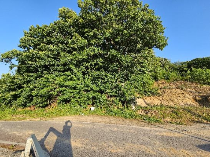 제시 목록 4 전경