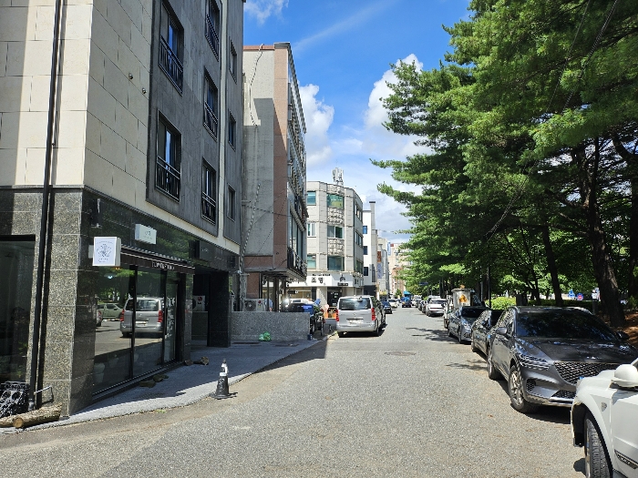 본건 북측 인접도로 주위환경