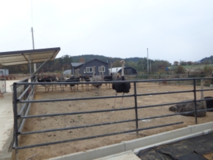 [목록 4] 남동쪽 지상의 모습