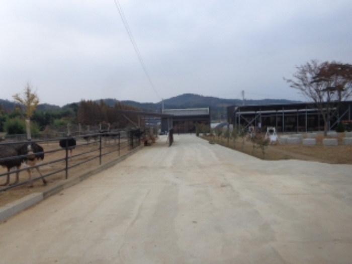 [목록 4] 남동쪽 지상에 개설된 도로와 주변 모습 