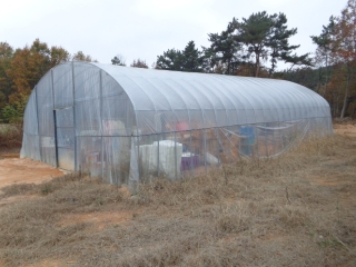 [목록 3] 제시외 비닐하우스 모습