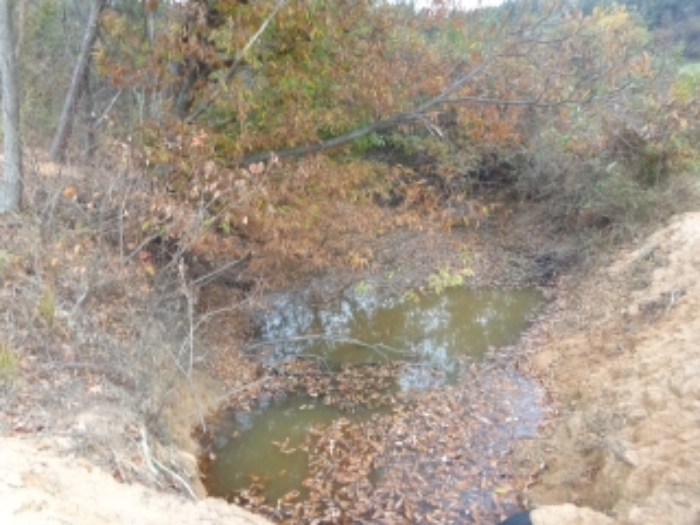 [목록 3] 북동쪽 경계 부분 지상에 있는 물울덩이 모습