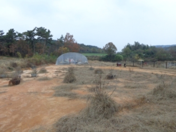 [목록 10] 남쪽에서 바라본 모습