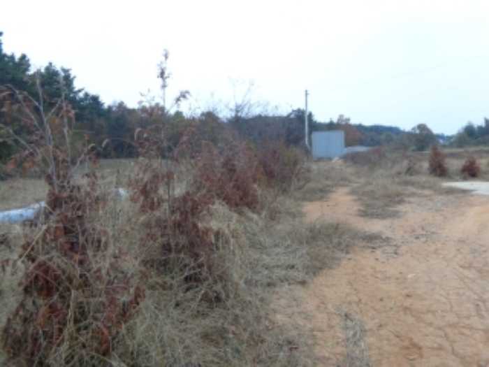 [목록 11] 남쪽에서 바라본 모습