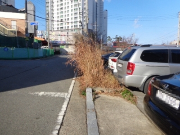 [목록 2] 남쪽 경계 부분 지상의 모습