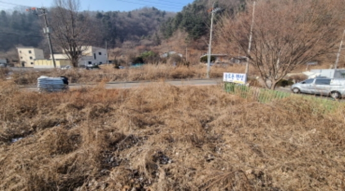 목록 4. 토지(안쪽에서 도로쪽을 본 모습)