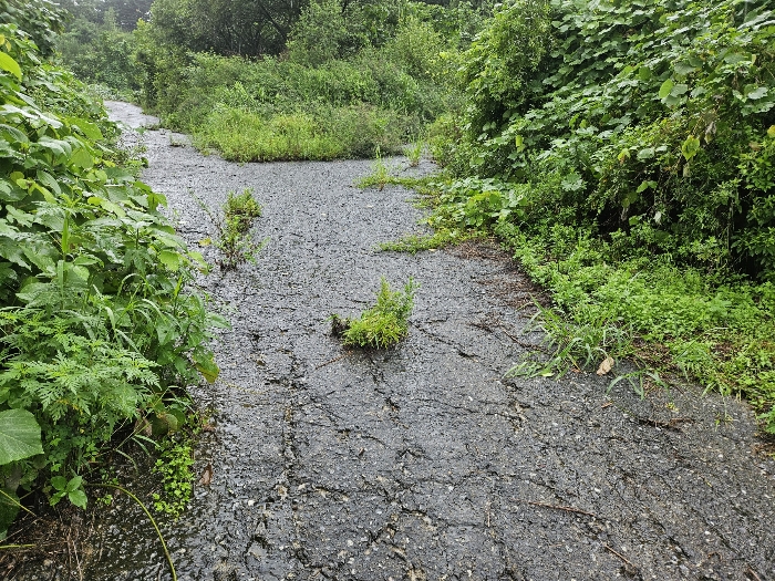 기호 4,15,16 도로