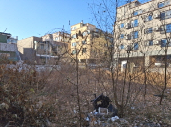 토지 상 제시외 수목 모습1