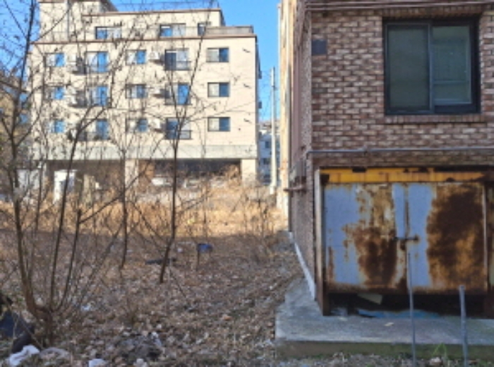 토지 상 제시외 수목 모습2