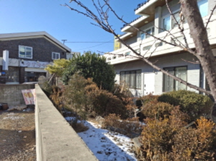 목록2 토지 제시외 수목 모습2