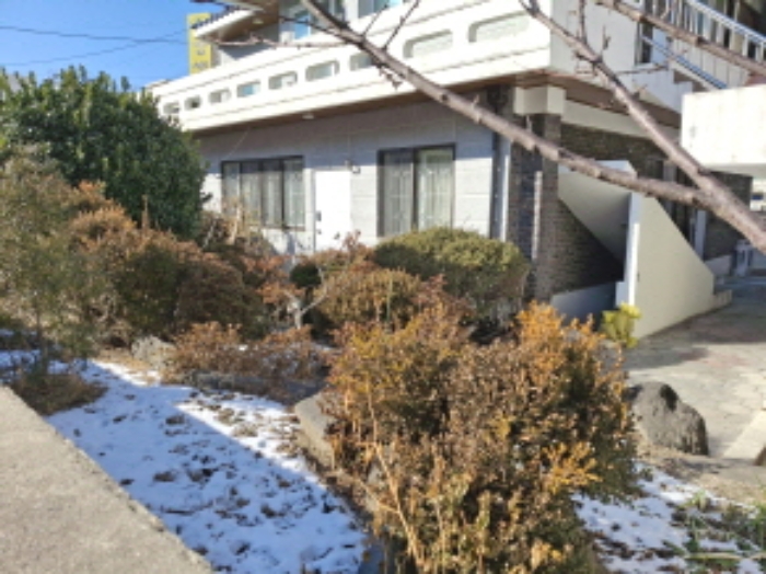 목록2 토지 제시외 수목 모습6