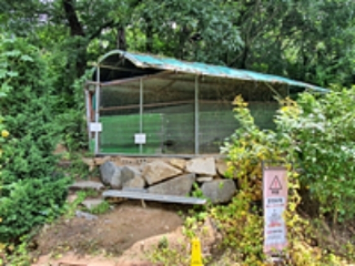 제시외 철파이프조비닐하우스(토끼 사육장)