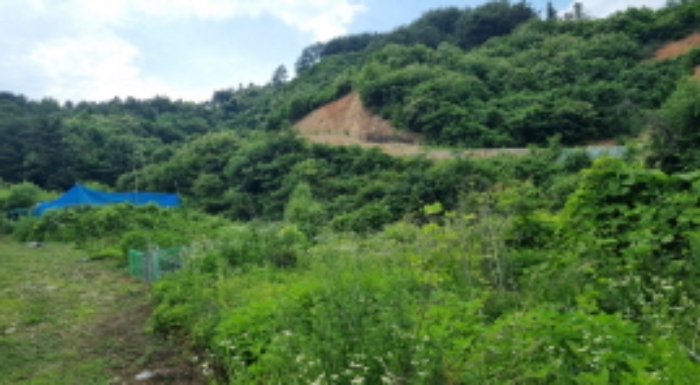 목록 2. 토지(아래에서 위쪽을 본 모습)