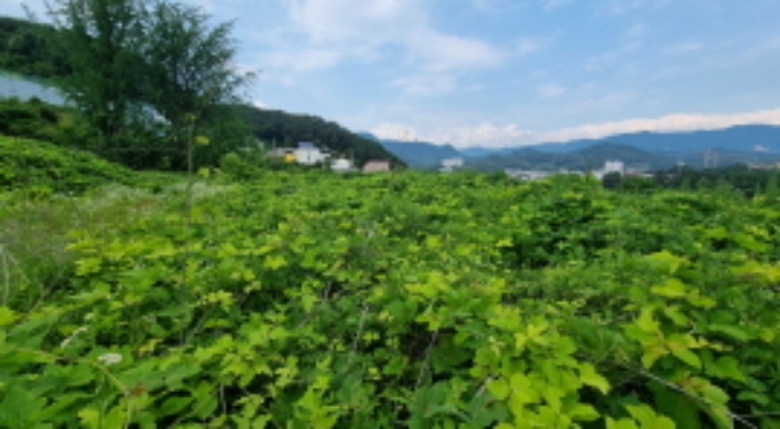 목록 9. 토지