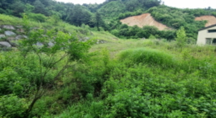 목록 15. 토지