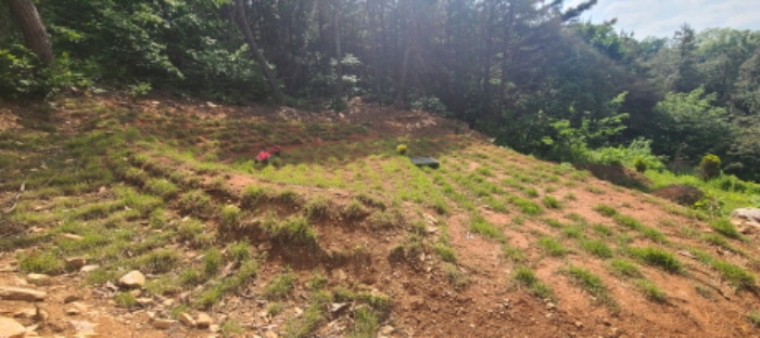 이건 목록 토지 전경(6)