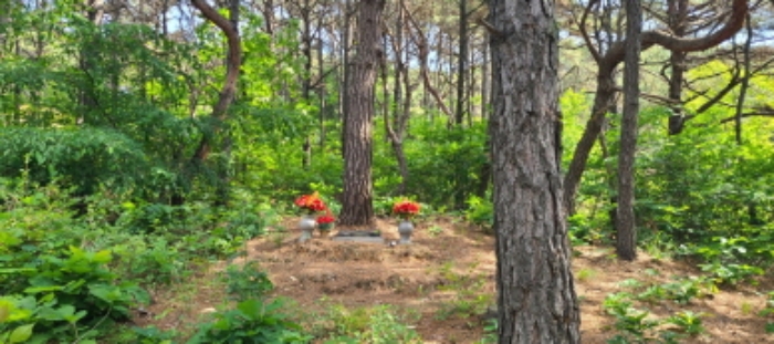 이건 목록 토지 전경(3)