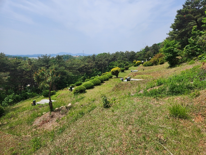 [본건 소재 분묘 전경]