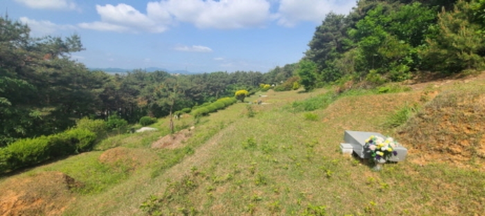 이건 목록 토지 전경(11)