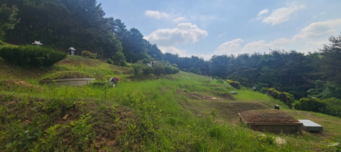 이건 목록 토지 전경(12)