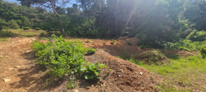 이건 목록 토지 전경(4)