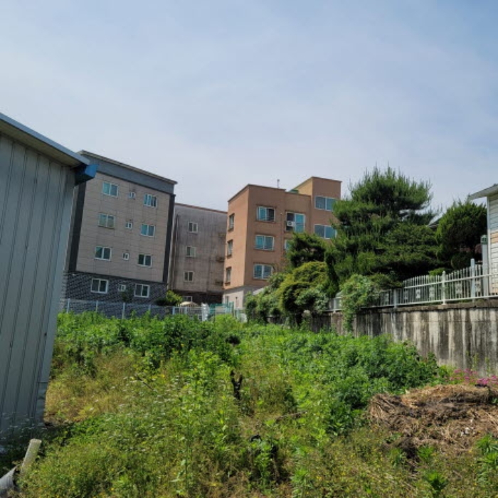 본건 토지 전경(일부 밭으로 이용한 흔적 있음)