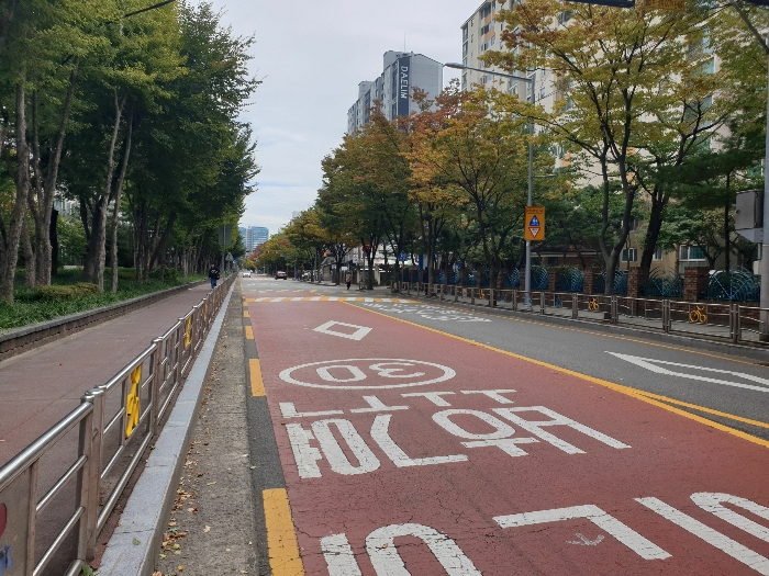 북동측 도로 모습