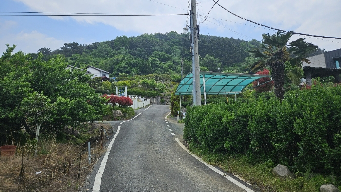 본건 토지 기호 3 사진