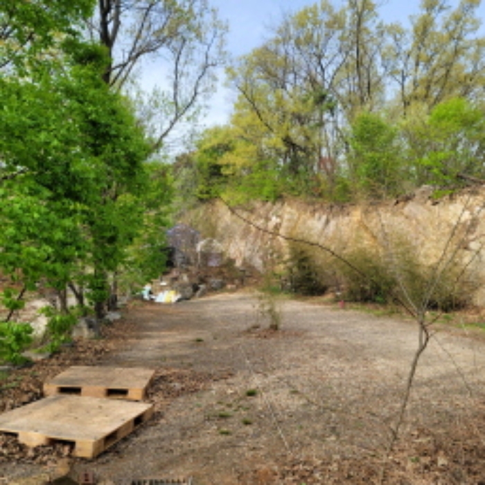 목록5 토지 전경