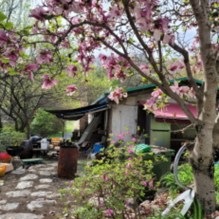 목록1 토지 및 목록7내지 목록14 건물 전경