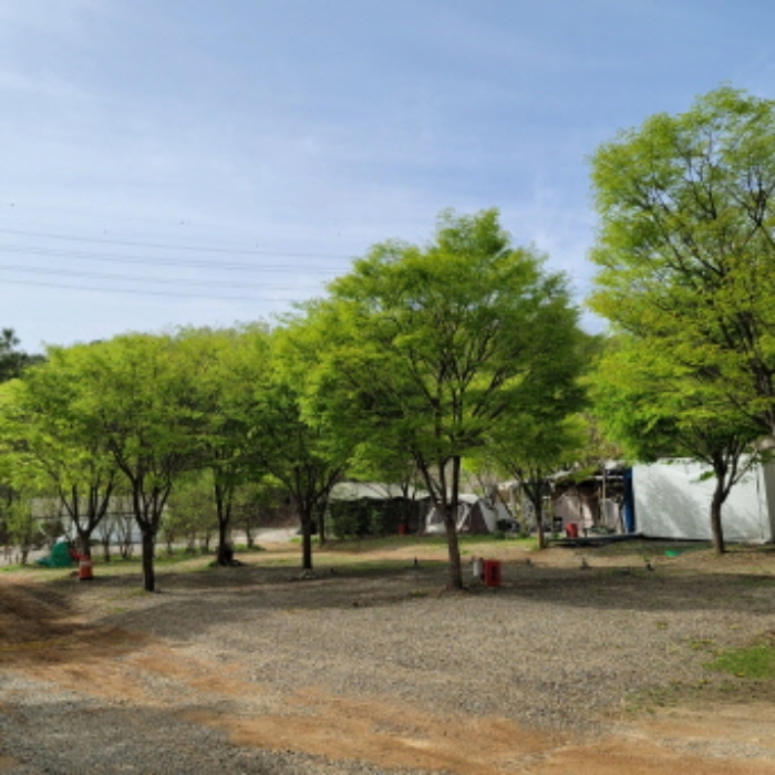 목록6 토지 전경