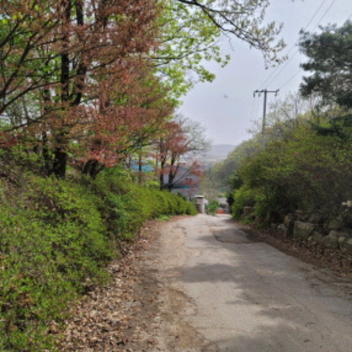 목록4 토지 전경