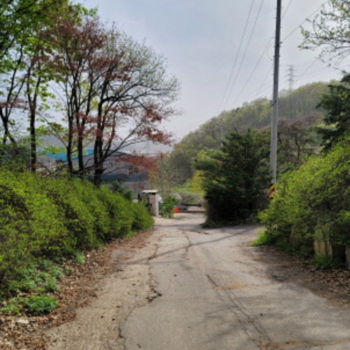 목록4 토지 전경