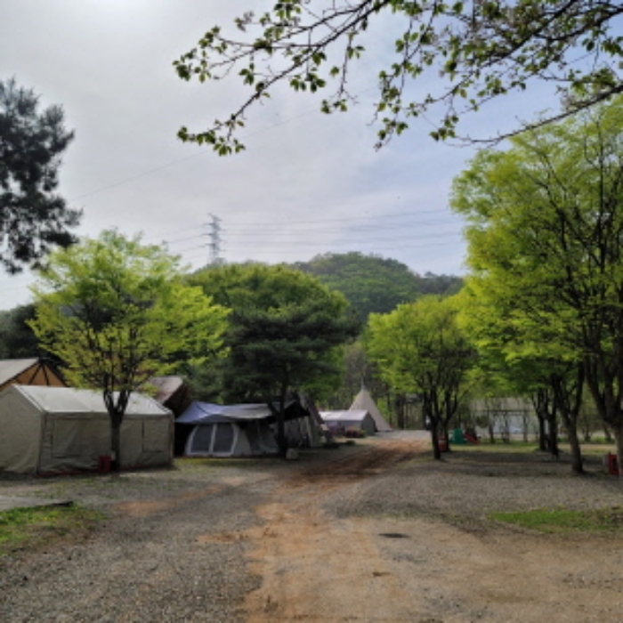 목록3 토지 및 제시외 텐트 전경
