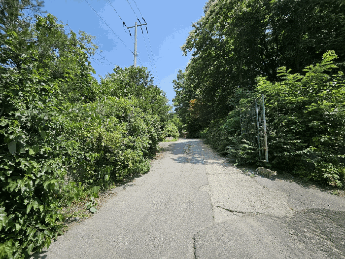 본건 및 기호(4) 전경