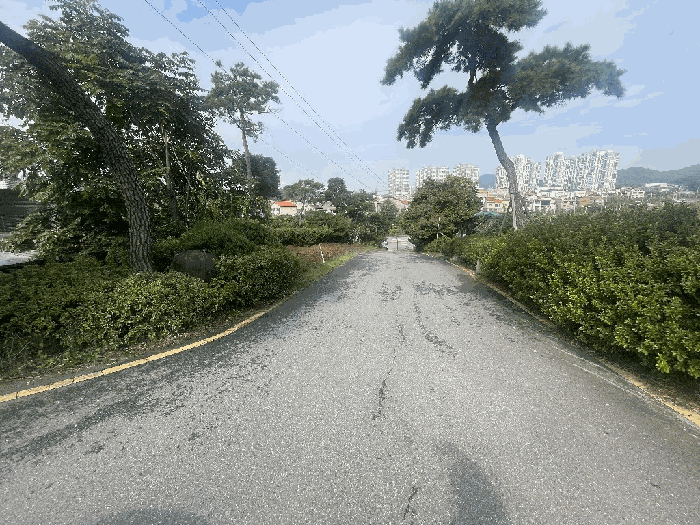 본건 기호(3, 9) 전경