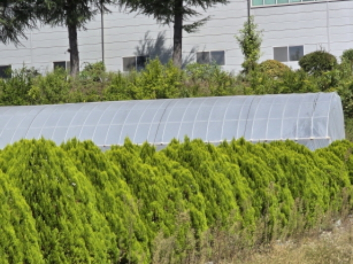 제시외 건물(비닐하우스)