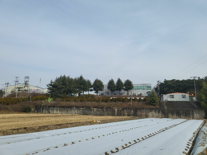 기호(8) 전경(남동측 인근 촬영)