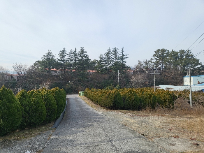 기호(1)-(6) 전경(북동측 촬영)