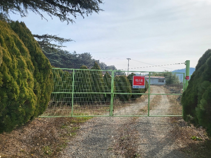 기호(8) 전경(북서측 촬영)