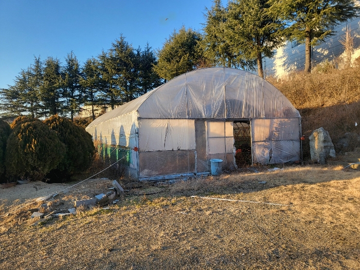 기호(8) 지상 소재 비닐하우스