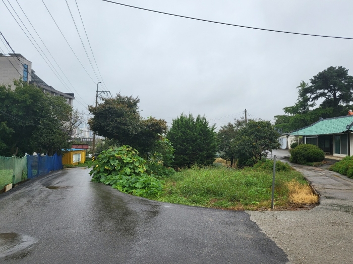 본건 접면도로 및 주위환경