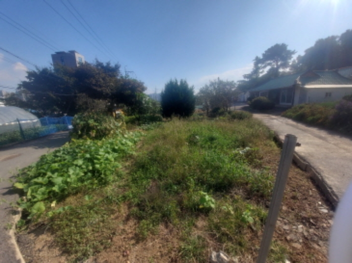 - 본건 토지 전경(진입로 자연대로 기준 상단부)